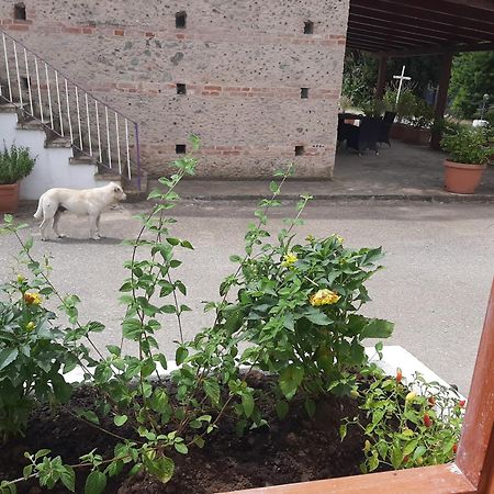Azienda Agricola Neocastrum Lamezia Terme Exteriör bild